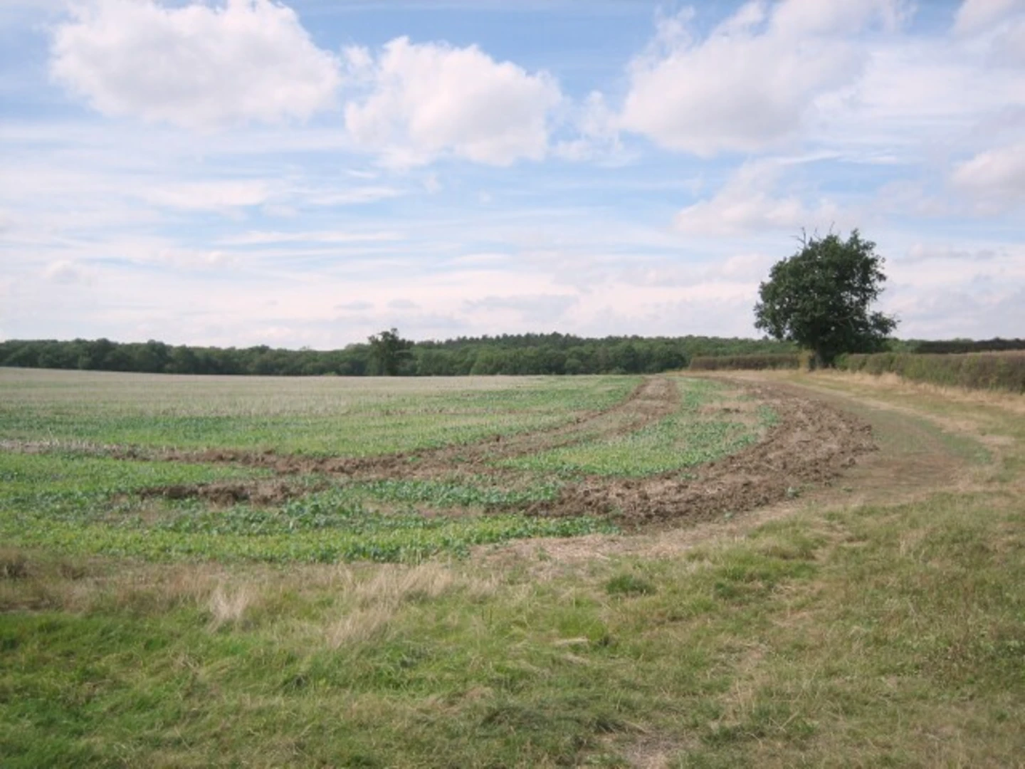An image depicting the trail Deerfold Wood Loop from Drakes Broughton and its surrounding area.