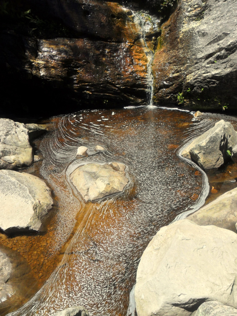 An image depicting the trail Beehive Falls Walk and its surrounding area.