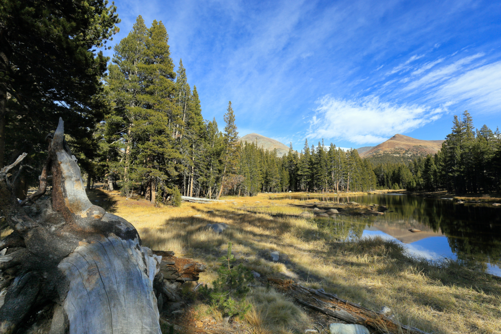 An image depicting the trail Walker Lake North Trail and its surrounding area.