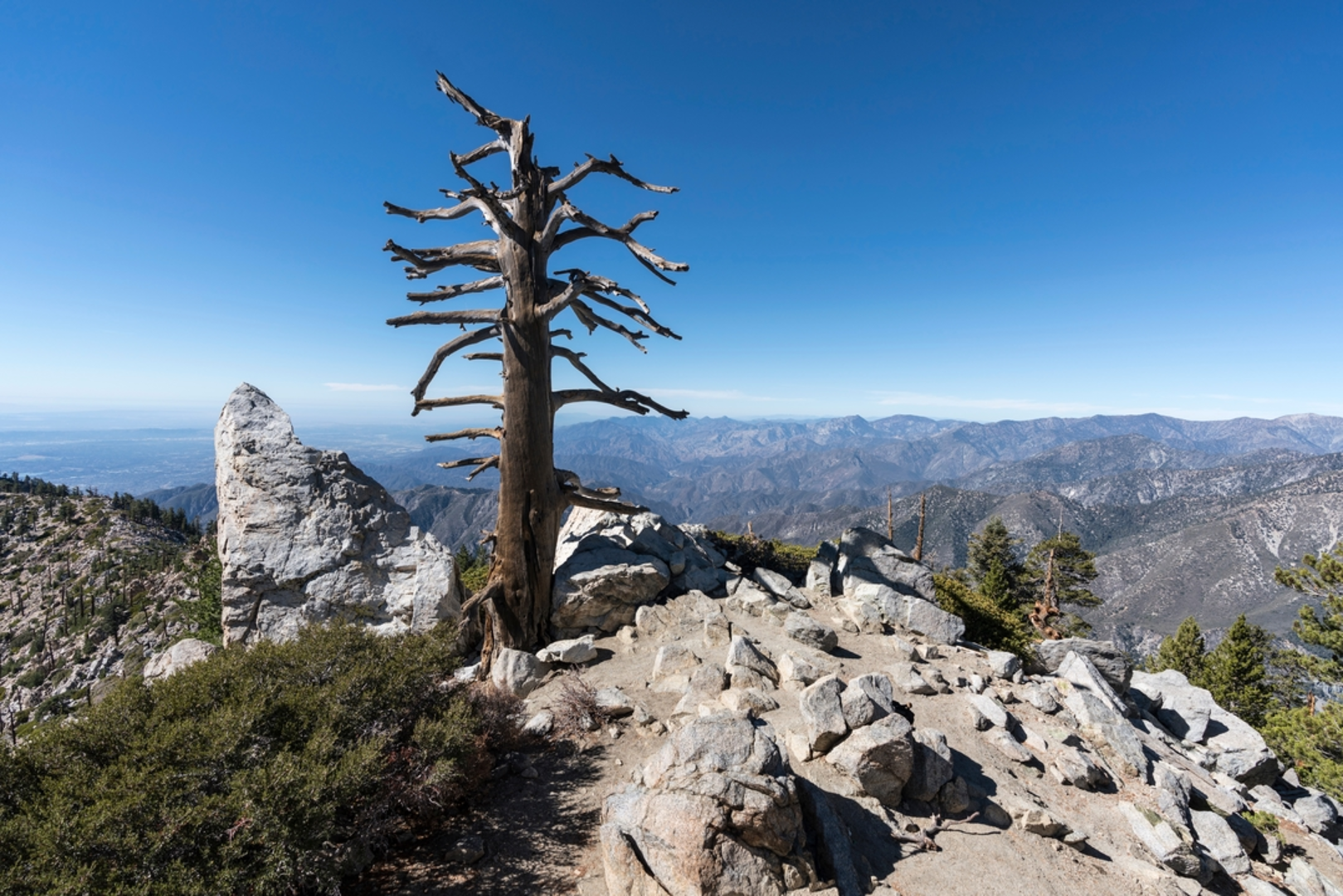 An image depicting the trail Ontario Peak Trail and its surrounding area.