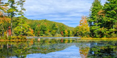 An image depicting the trail Nipmuck Trail and its surrounding area.