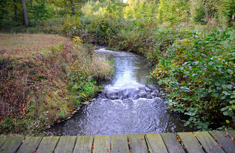 Koevoortseweg, Landsardseweg and Welschapsedijk Loop