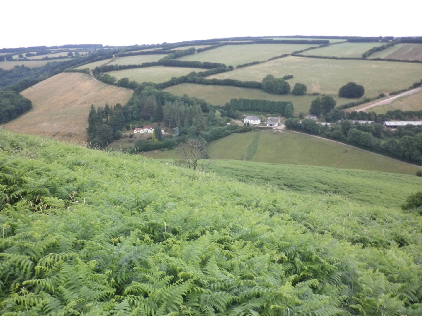 An image depicting the trail River Exe Loop - Winsford and its surrounding area.