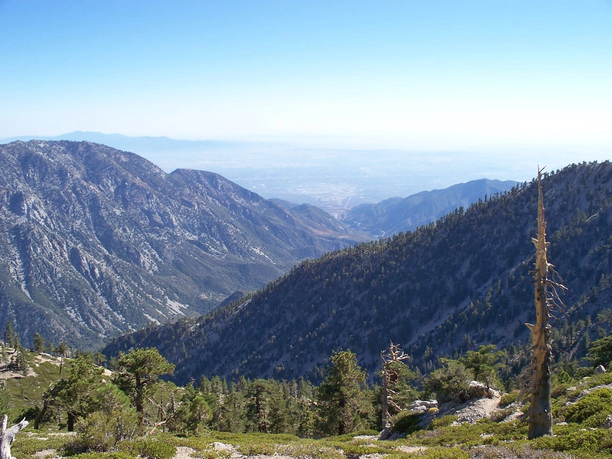 Register Ridge, Mount San Antonio and Baldy Bowl Loop Trail