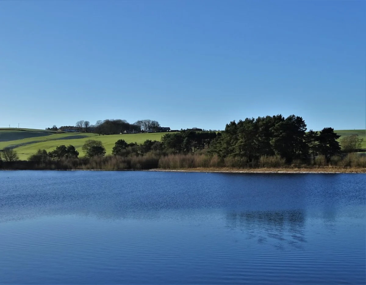 Sunnyhurst Wood and Earnsdale Reservoir Loop