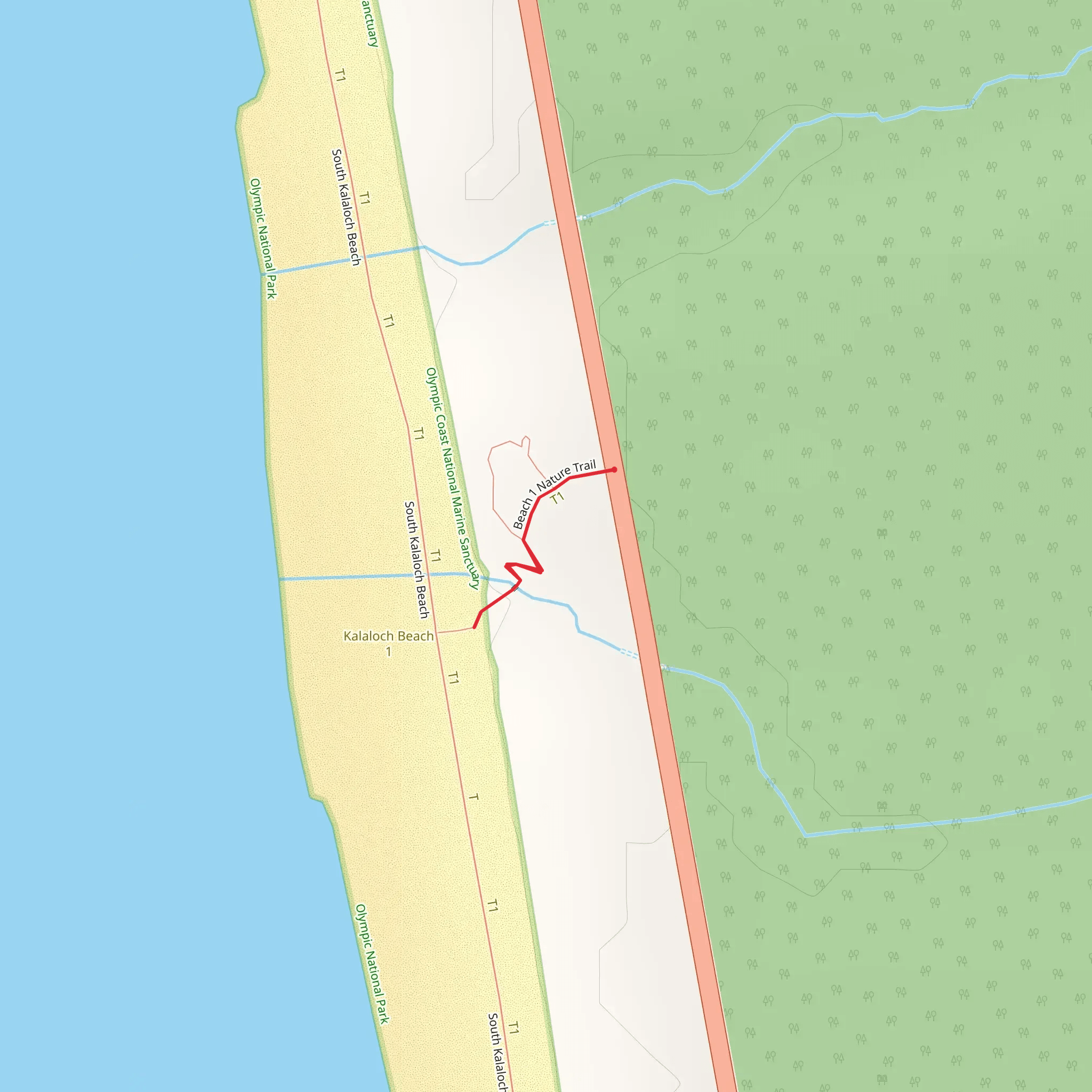 Beach 1 Nature Trail mobile static map
