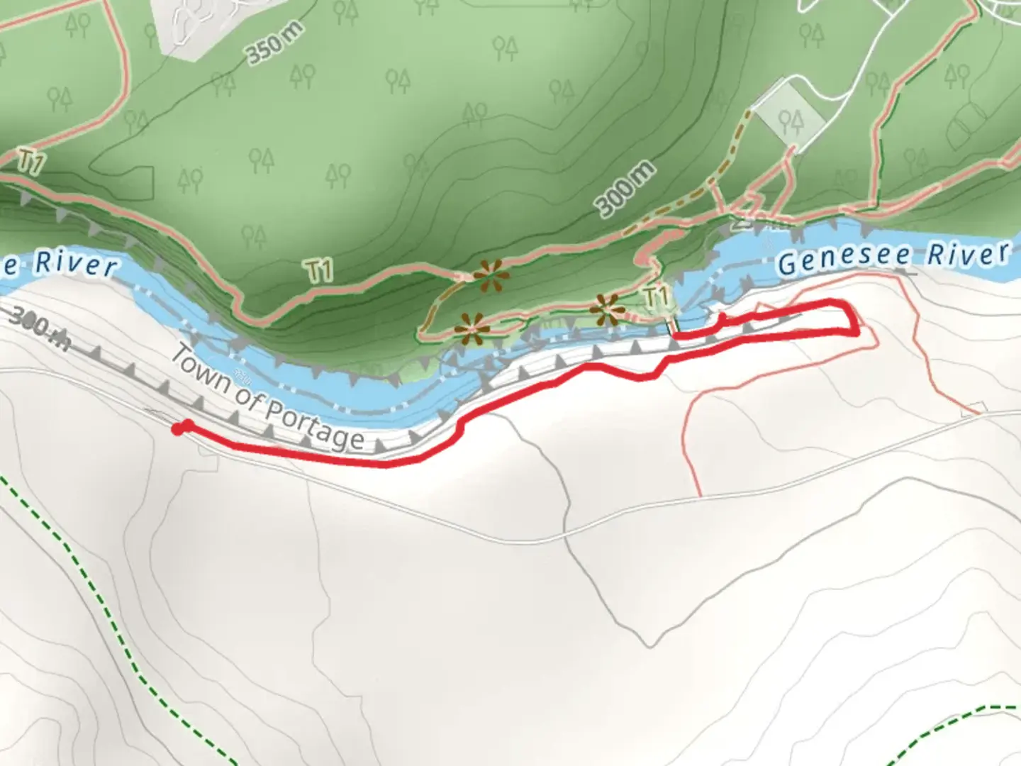An image depicting the trail Pedestrian Bridge via Portage Trail and its surrounding area.