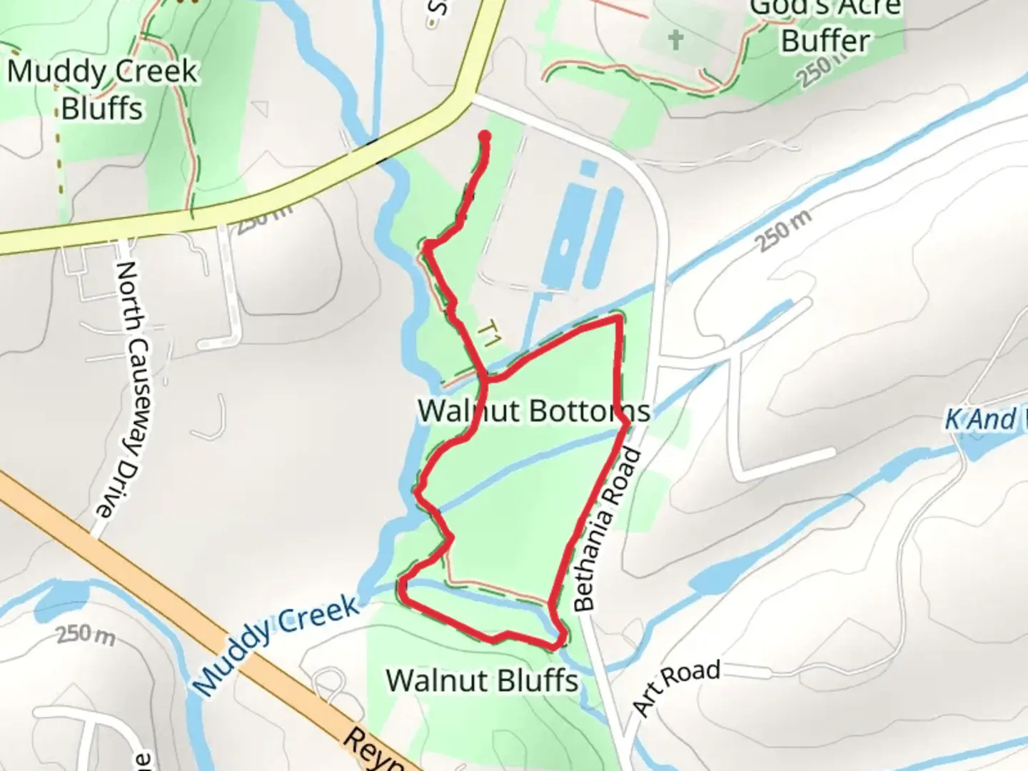 An image depicting the trail Black Walnut Bottoms Loop Trail and its surrounding area.