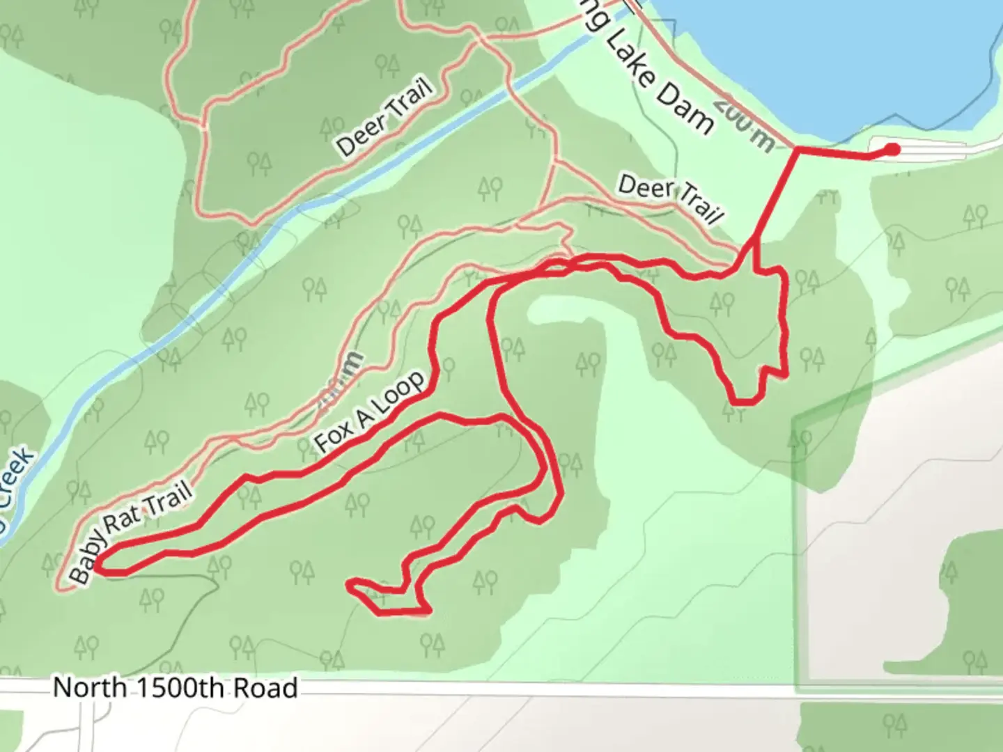 An image depicting the trail Fox A Loop and its surrounding area.