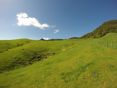 Ngamarama - Te Tuhi Track