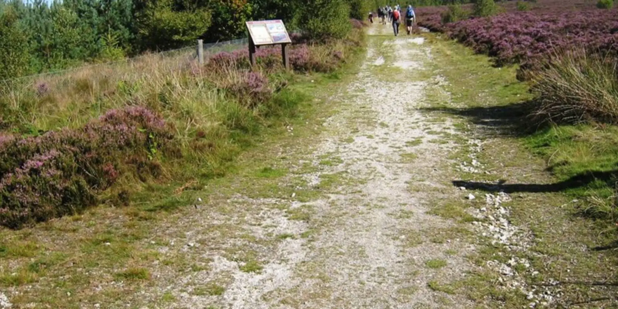 An image depicting the trail Rievaulx Moor from Cowhouse Bank and its surrounding area.