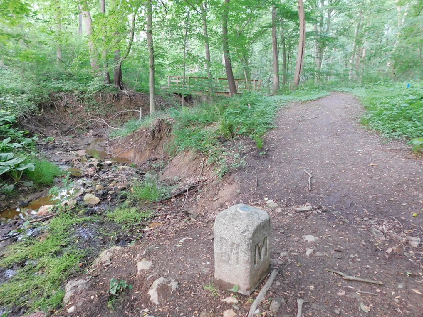 An image depicting the trail White Clay Creek Preserve Trail and its surrounding area.