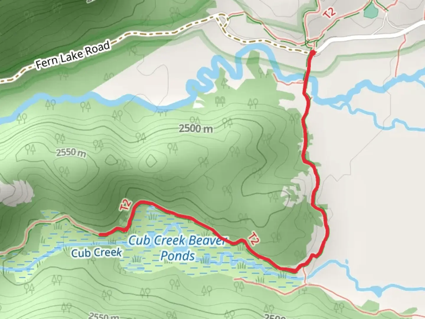 An image depicting the trail Cub Lake Trail Out and Back and its surrounding area.
