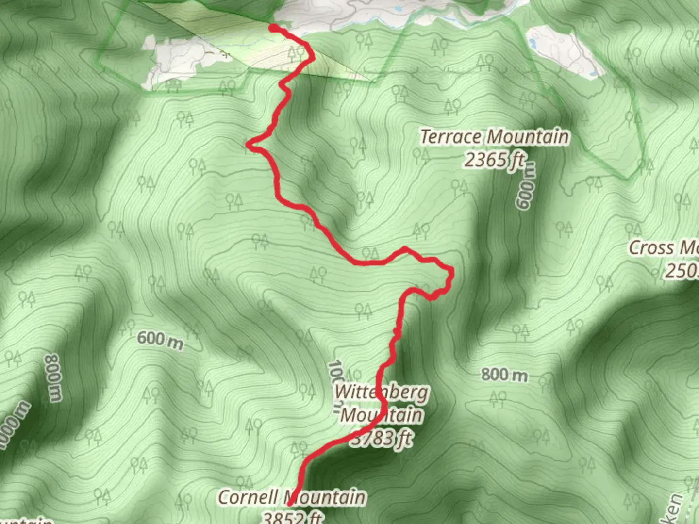 An image depicting the trail Wittenberg Mountain and Wittenberg Mountain Creek from Woodland Valley Road and its surrounding area.