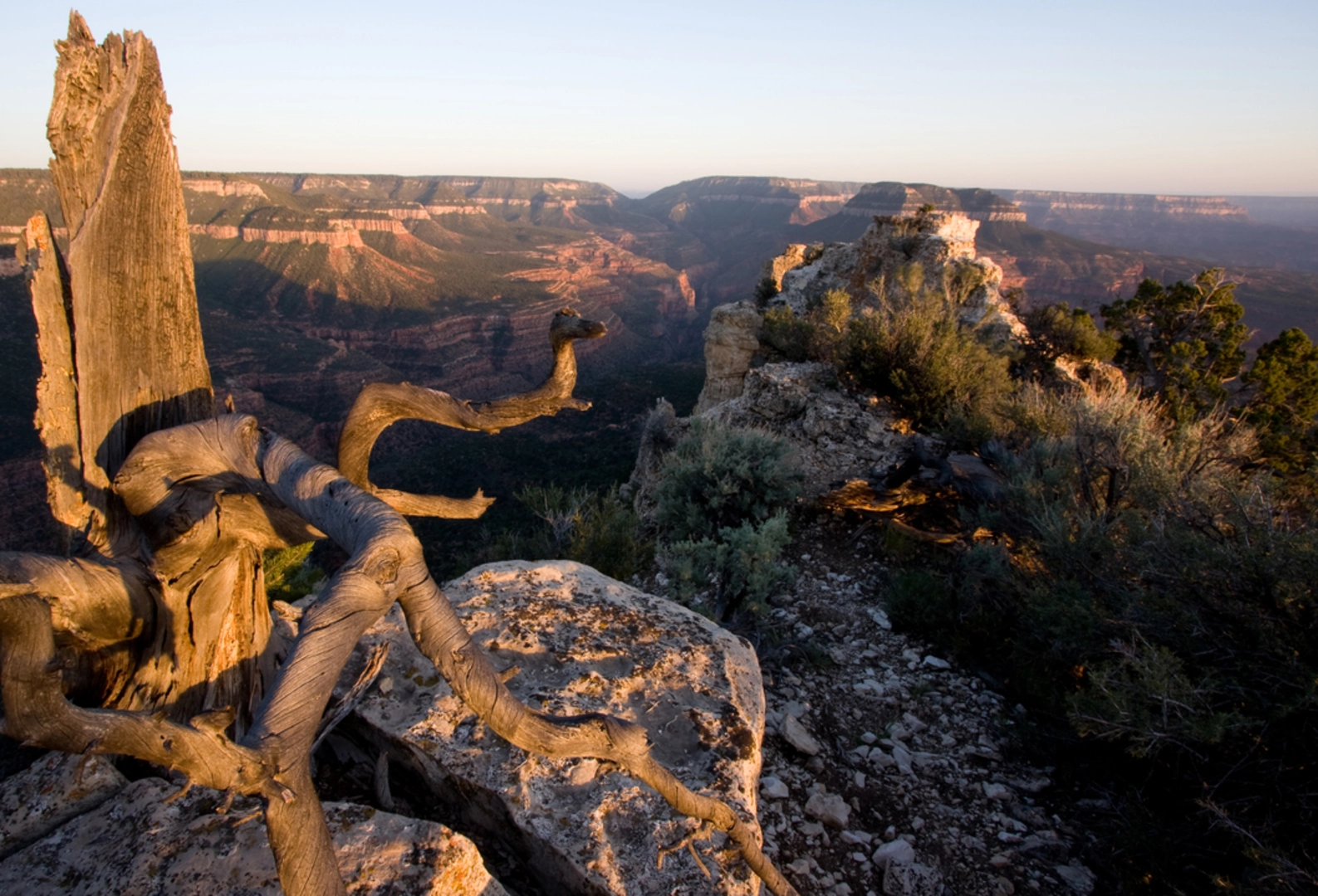 An image depicting the trail Ranger Trail and its surrounding area.