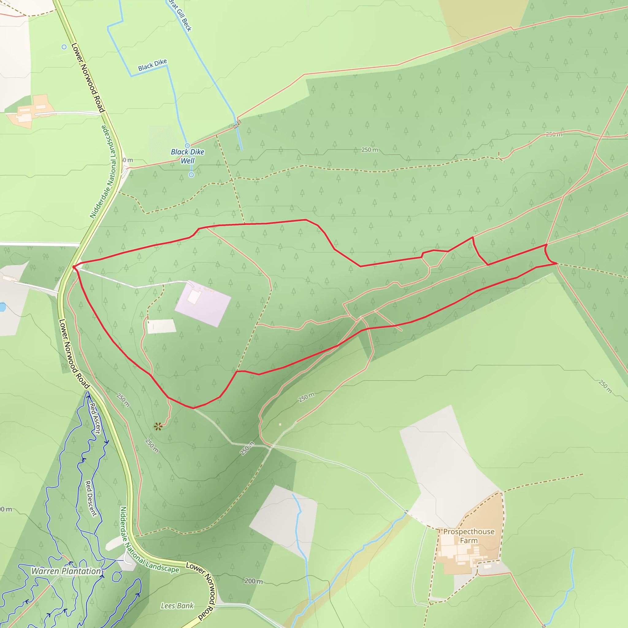 Norwood Edge Plantation Loop mobile static map