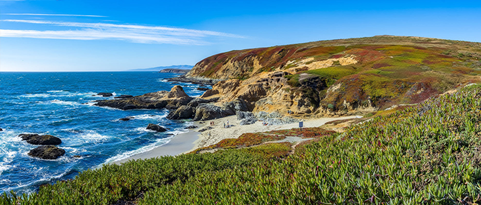 An image depicting the trail Bodega Head Short Trail and its surrounding area.