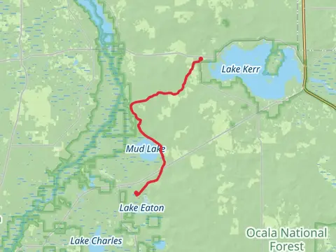 Florida Trail - Lake Eaton