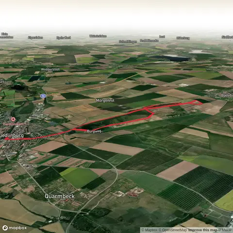 Ochsenkopf and Seweckenberge Loop