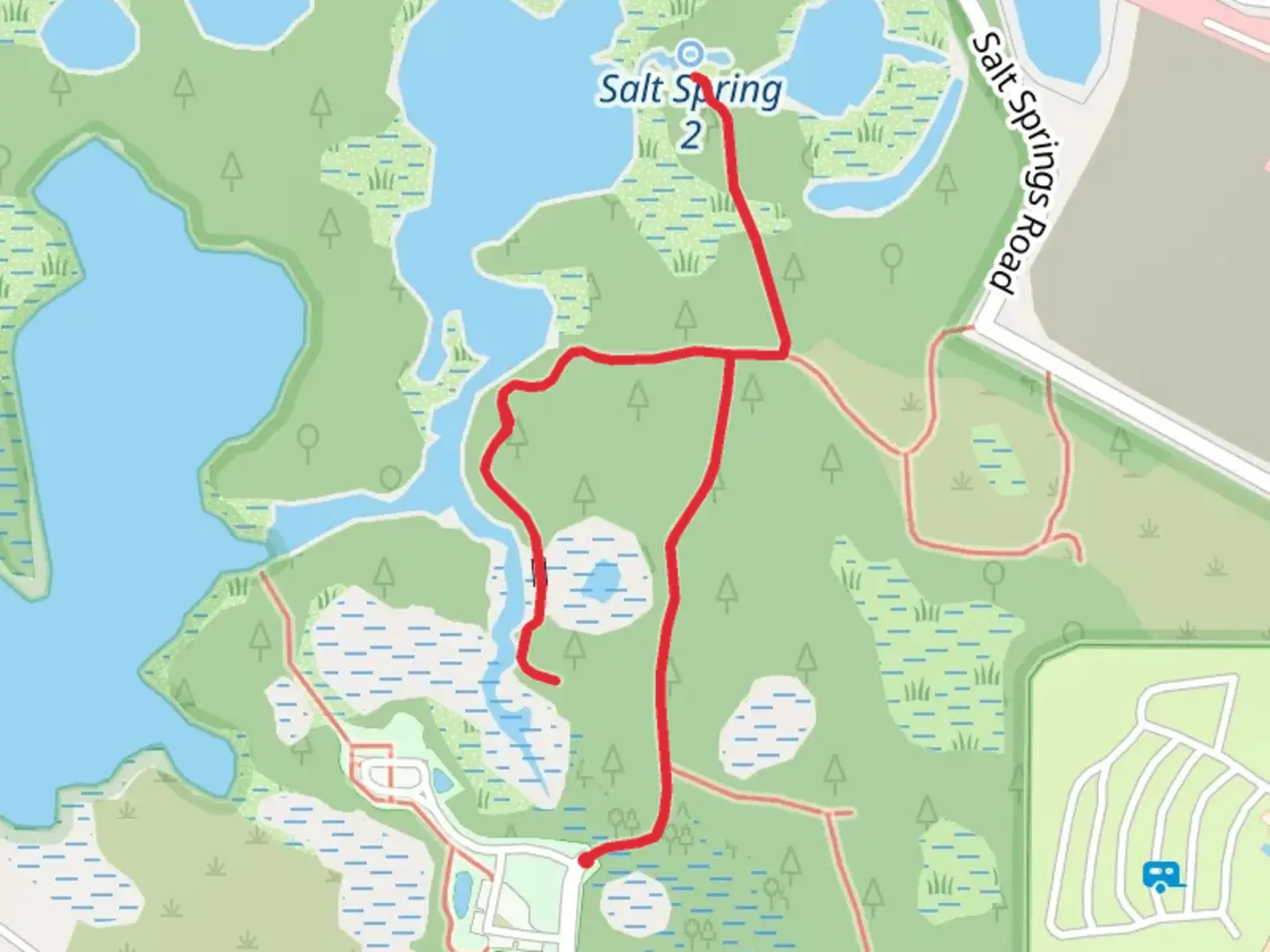 An image depicting the trail Salt Springs and its surrounding area.