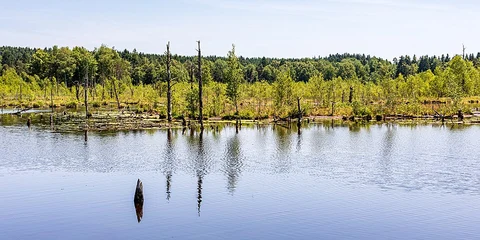 Schwenninger Moos Walk