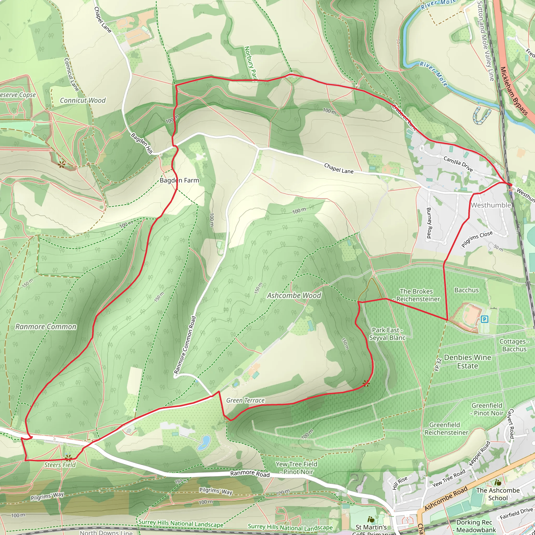 Ashcombe Wood and Dorking Wood mobile static map