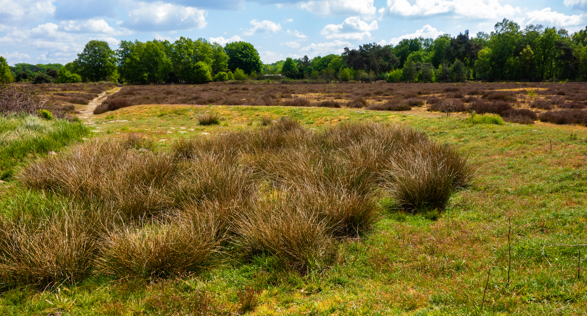 An image depicting the trail Gaswinning Paarden Slenkte and Bezoekerscentrum Loop and its surrounding area.