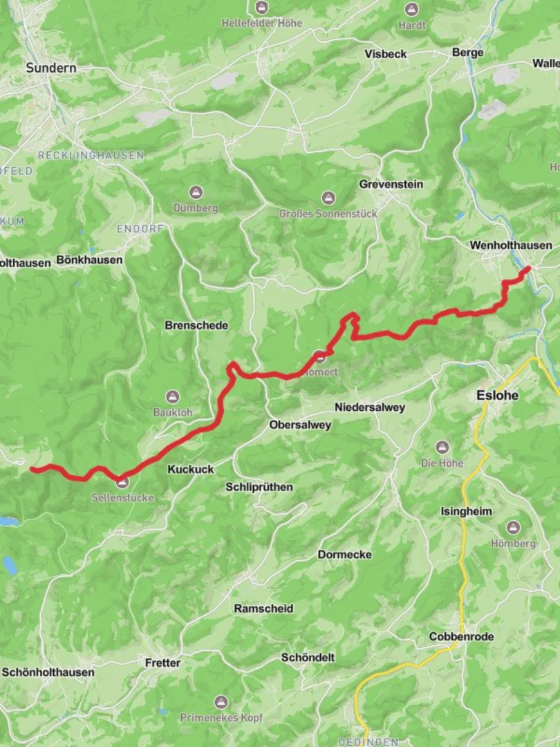 An image depicting the trail Wildewiese to Wenholthausen Walk and its surrounding area.