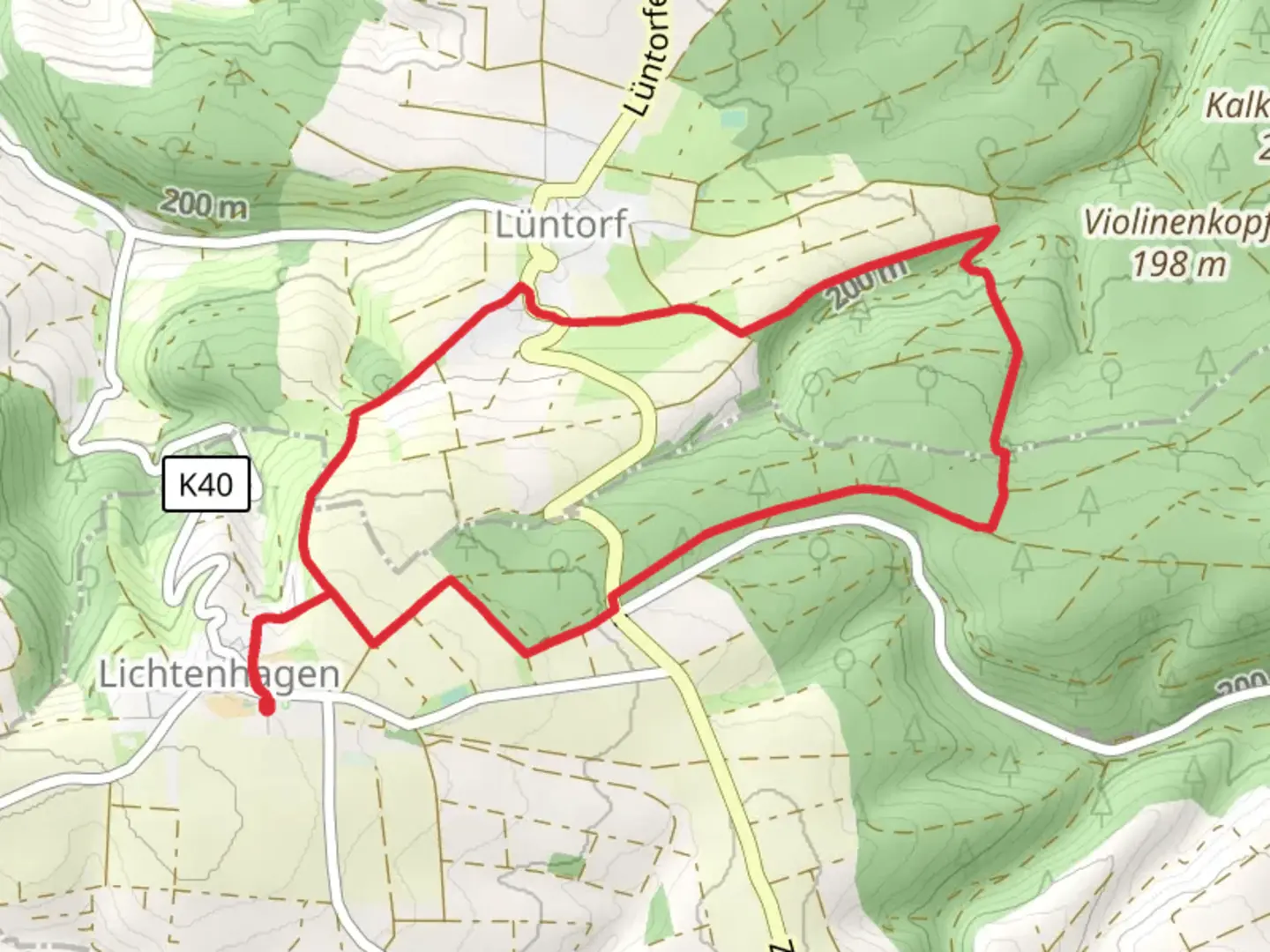 An image depicting the trail Lichtenhagen Loop and its surrounding area.