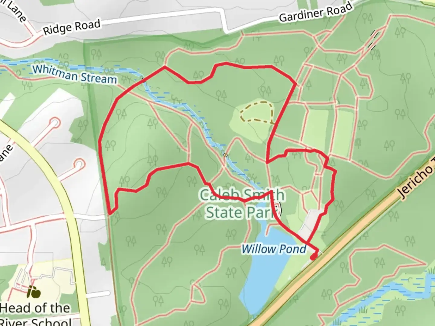 An image depicting the trail Willow Pond Loop and its surrounding area.