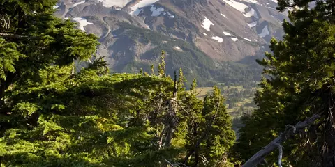 An image depicting the trail Separation Creek Loop and its surrounding area.