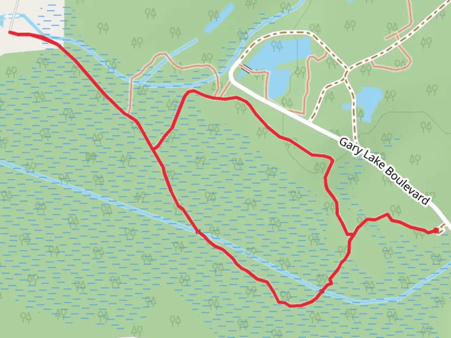 An image depicting the trail Waccamaw River via Blue and Yellow Loop Trail and its surrounding area.