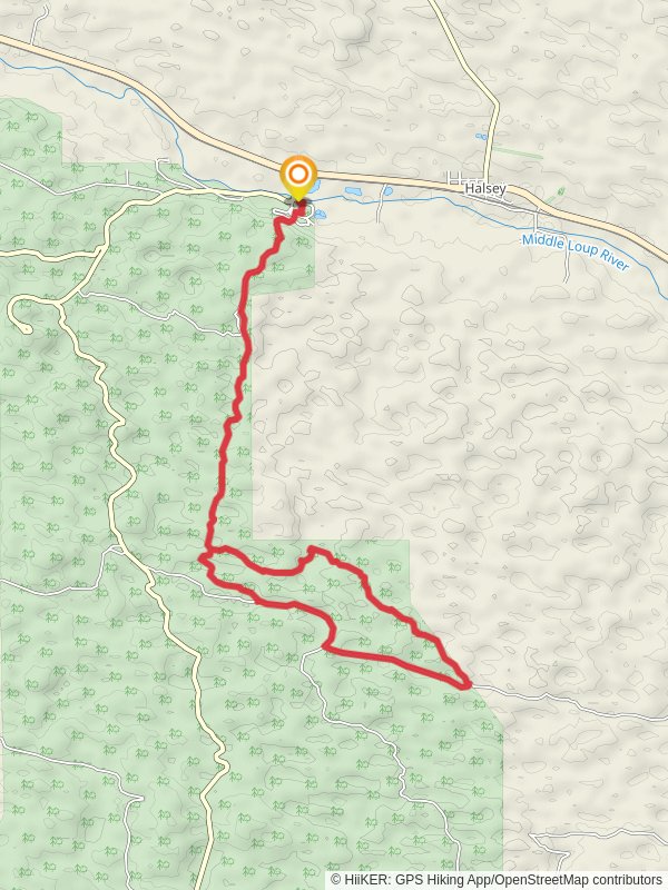 Poison Ivy Loop Trail