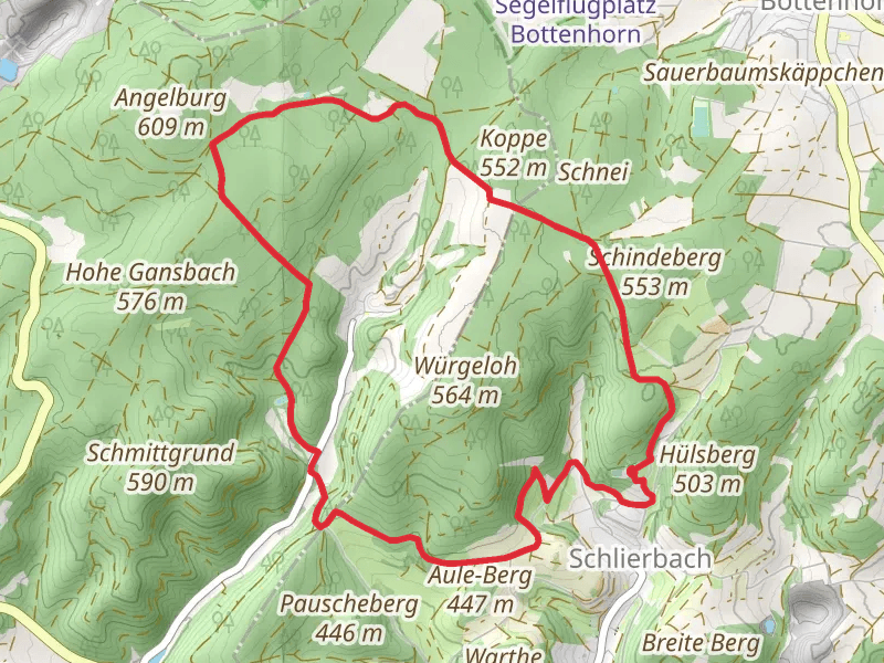 Wallenfels Loop via Dachsberg Schanze