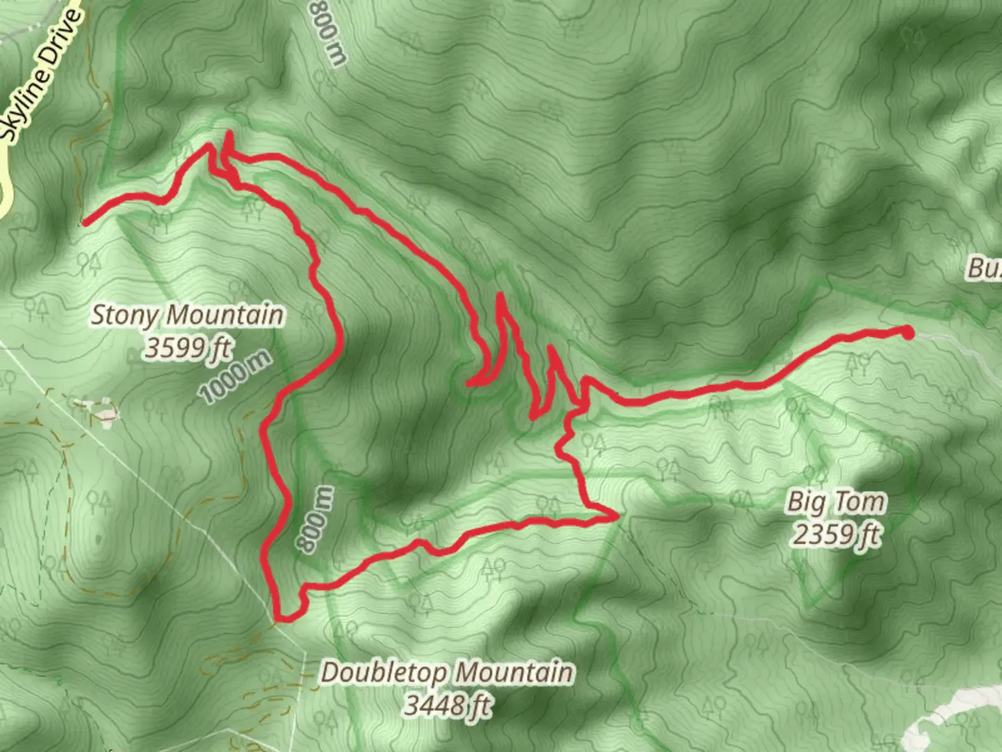 An image depicting the trail Rose River Fire Road and Stony Mountain Loop Trail and its surrounding area.
