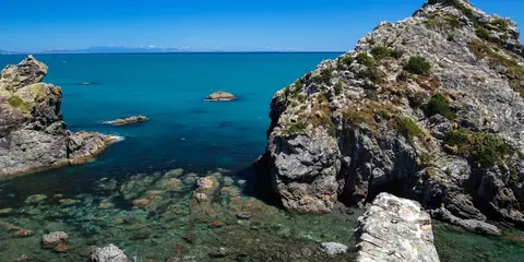An image depicting the trail Ara Harakeke - Flax Way - Shared Path and its surrounding area.
