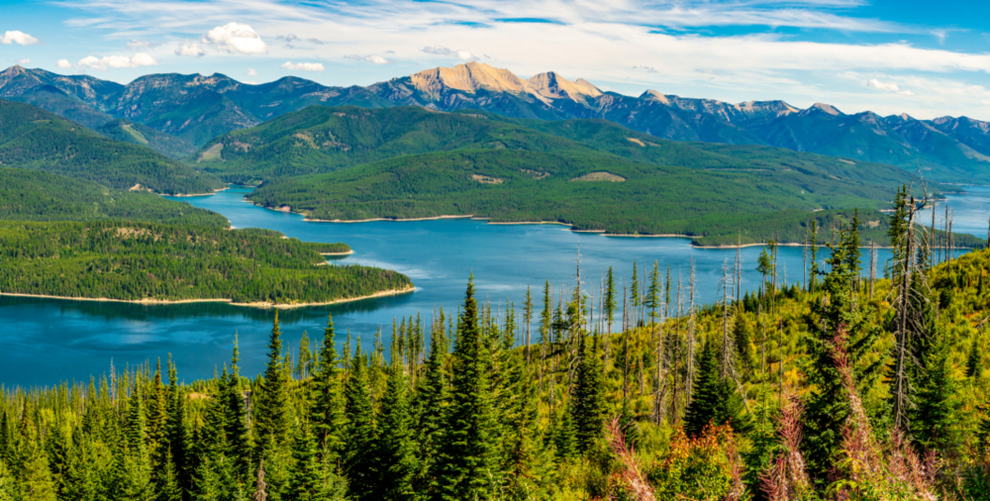 An image depicting the trail Wildcat Mountain Trail and its surrounding area.