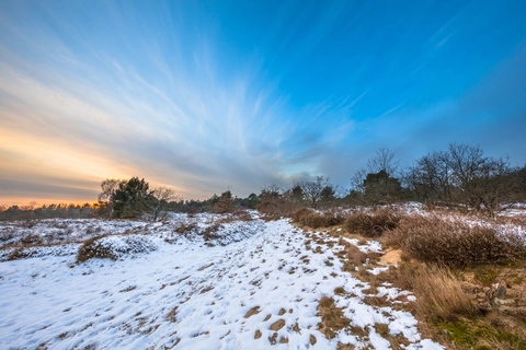 Gasterse Duinen, Achter t Veen and Ubbinksbos Grafheuvels Loop