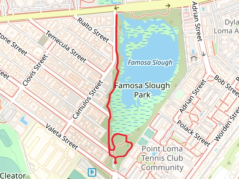 Famosa Slough