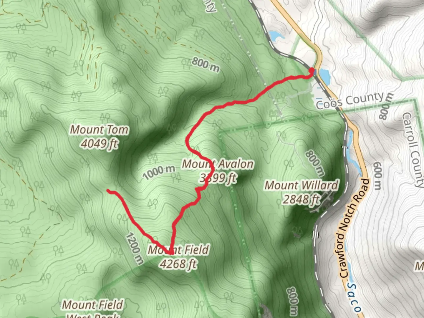 An image depicting the trail Mount Avalon and Mount Field via Avalon Trail and its surrounding area.