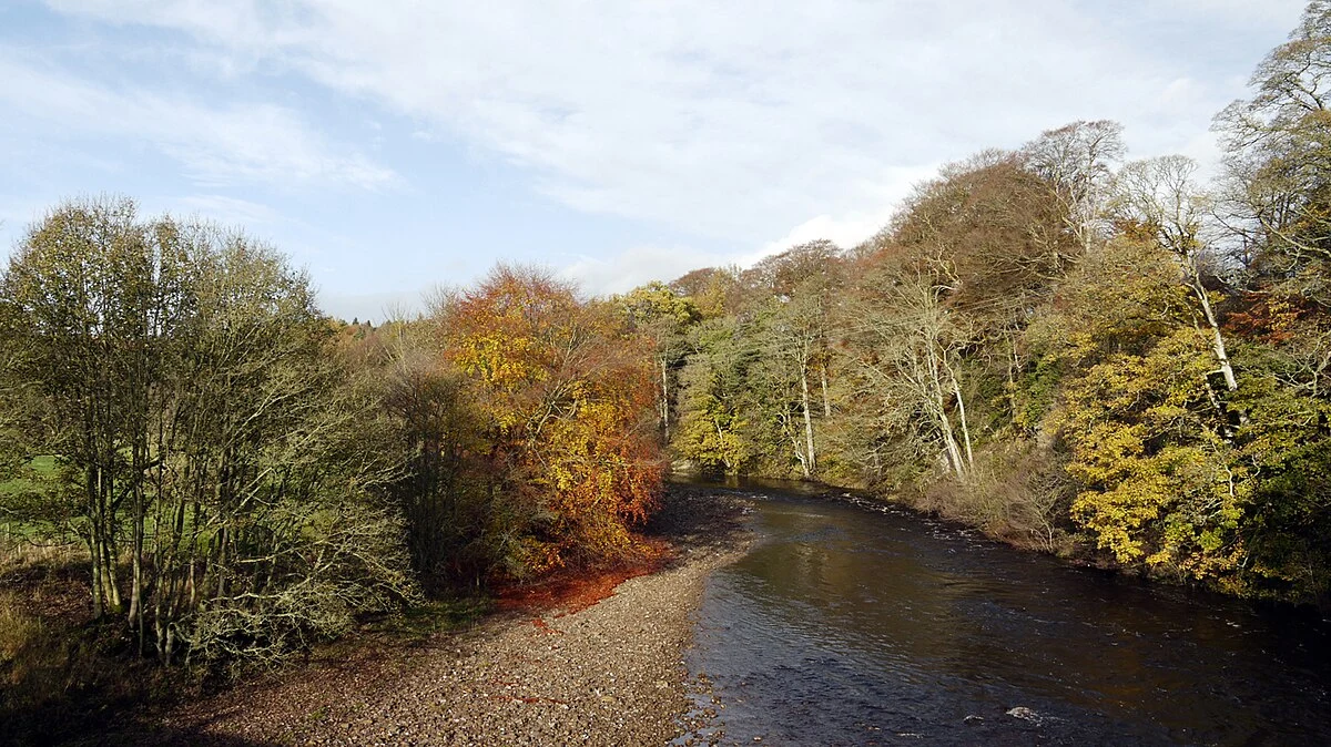 Eggleston and River Tees