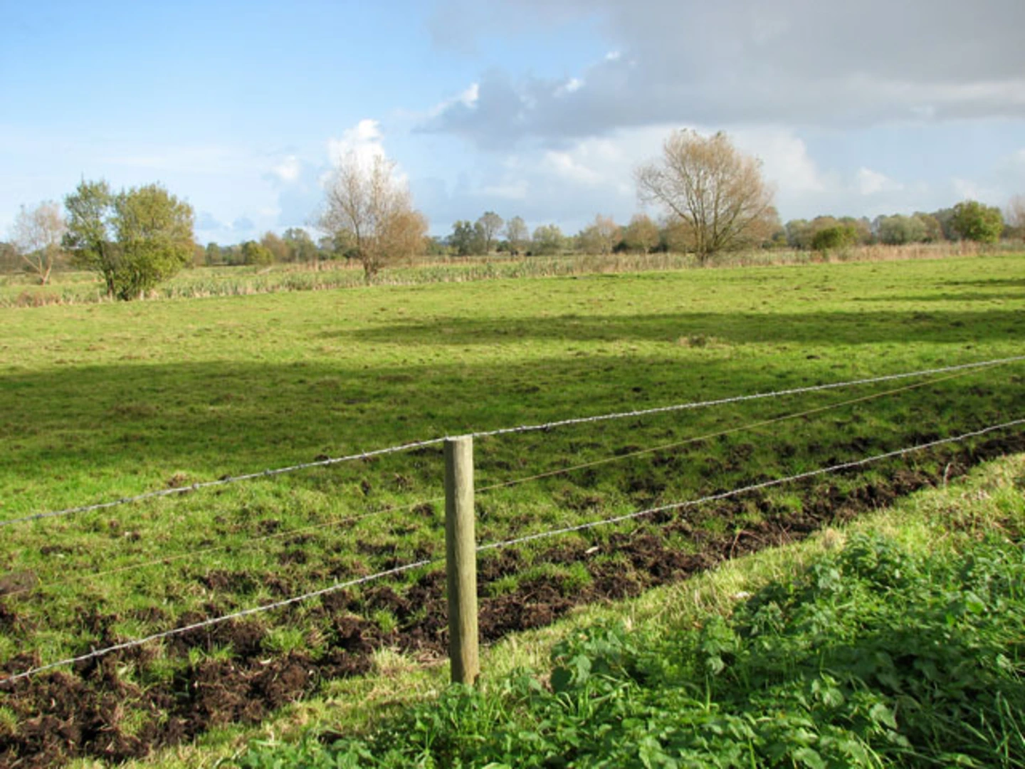 An image depicting the trail North Cove Nature Reserve Loop from Beccles and its surrounding area.