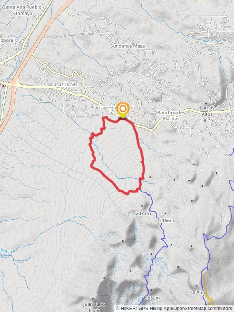 An image depicting the trail Forest Loop Road 445 and its surrounding area.