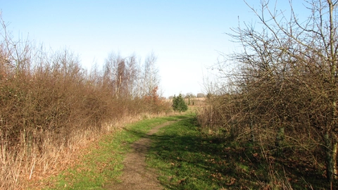 Bell's Close and Jubilee Wood Loop