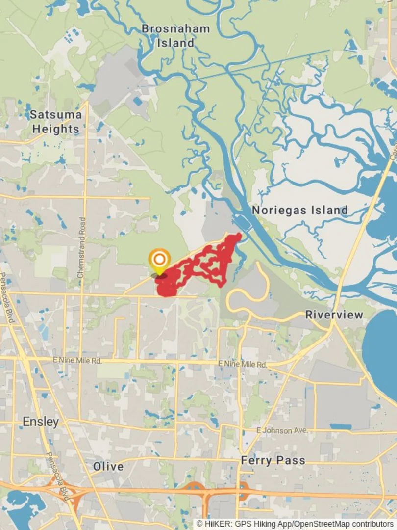 An image depicting the trail Pate Street Loop - South and its surrounding area.