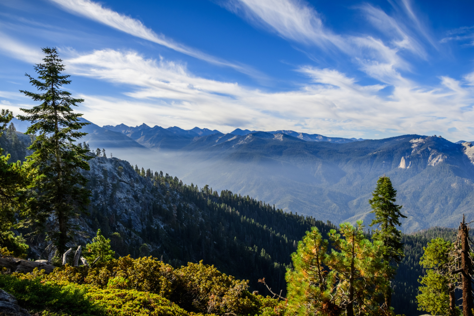 An image depicting the trail Alta Peak via Lakes, Panther Gap and Alta Trail and its surrounding area.