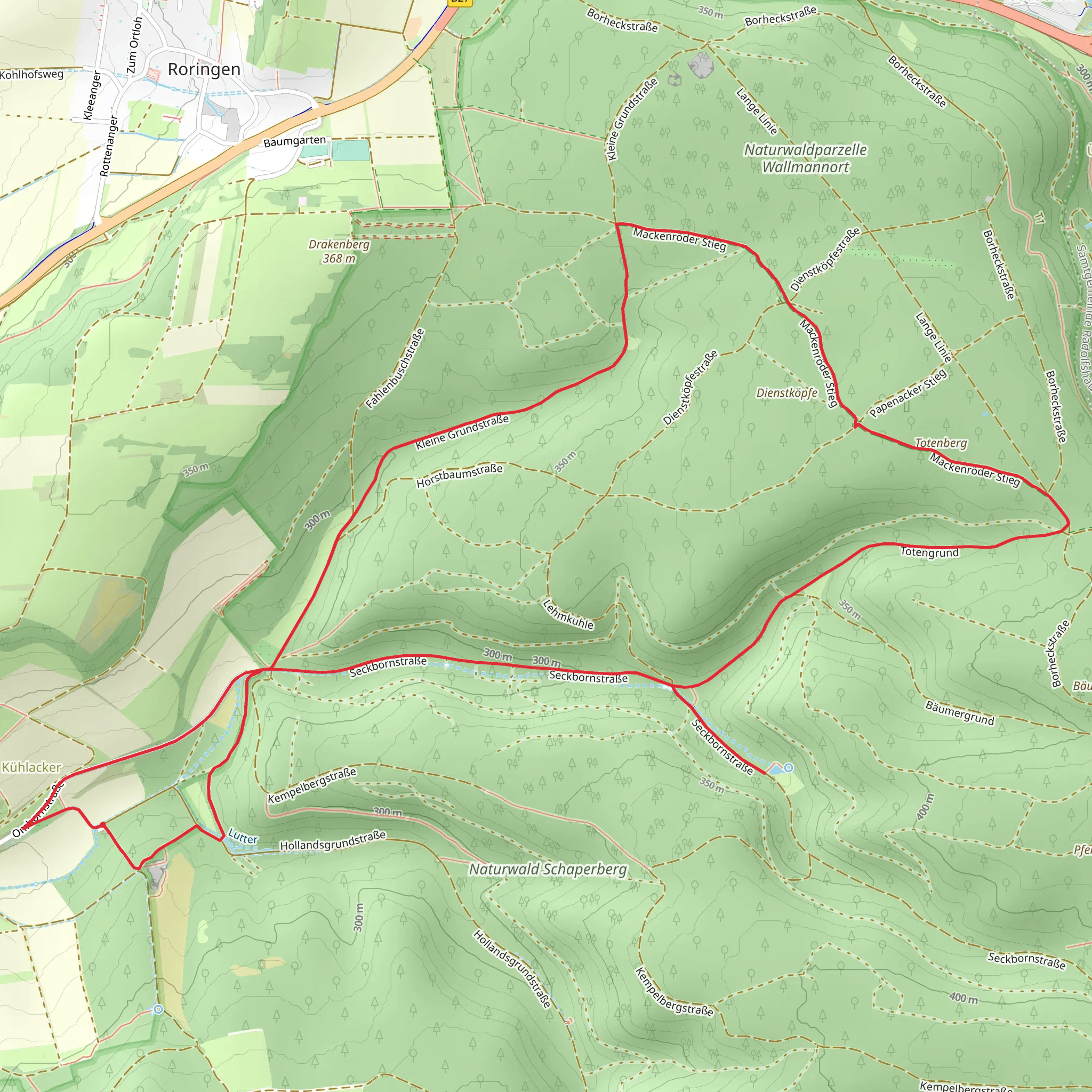 DAV 1 Waldwiesenweg mobile static map