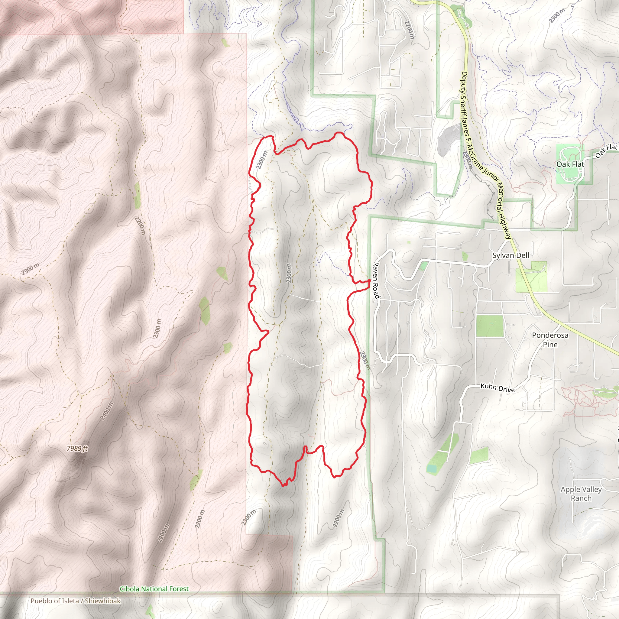 Turkey Trot - Cajun Pine Loop mobile static map