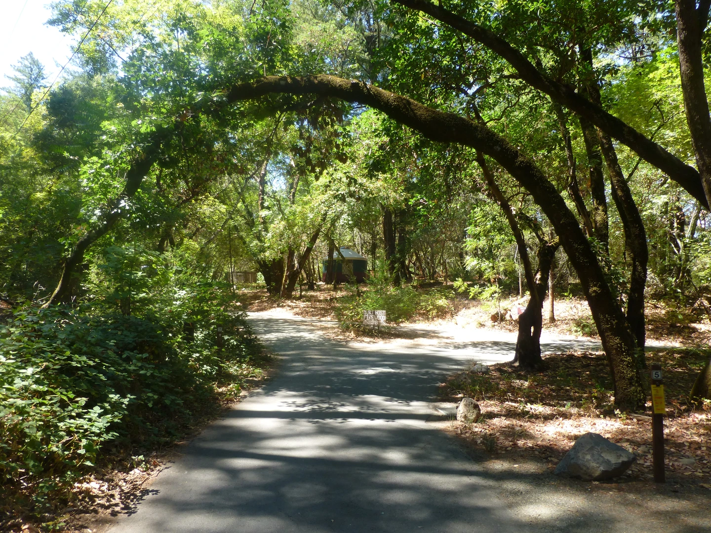 An image depicting the trail Ritchey Canyon Trail, Redwood Trail and South Fork Trail and its surrounding area.