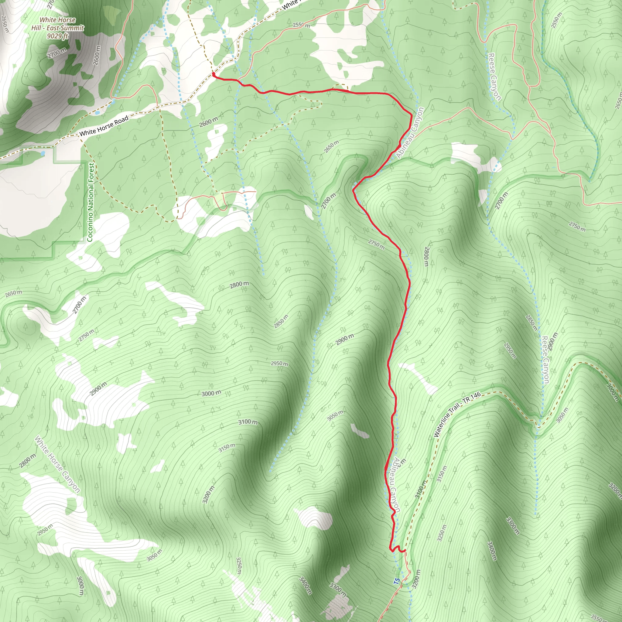 Abineau Trail mobile static map